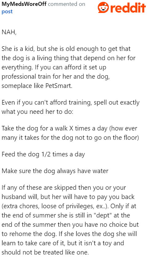 Setting Up Dog Training Sessions That Her Niece and the Dog Can Attend Will Improve the Situation.