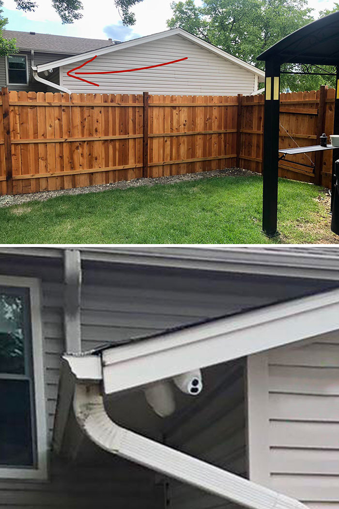 41. Time to plant a tree!