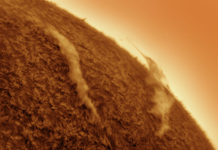 “Suspended Plasma” By Maria Cogo