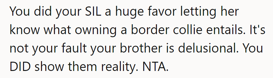 Reality check: delivered. Brother's return address: Fantasyland.