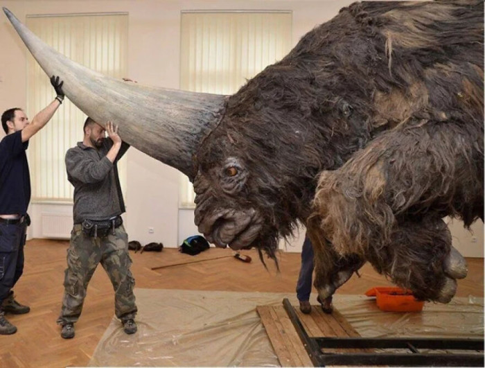 "This Is the Siberian Unicorn, a 4-Ton, 6-Foot-Tall Horned Beast That Walked the Earth Just 40,000 Years Ago. Terrifyingly, Humans Would Have Encountered It"