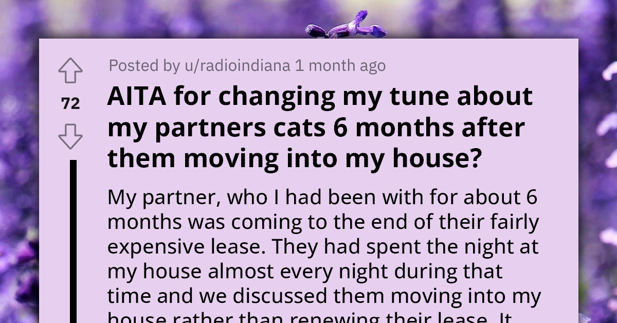 Reddit User Is Tired Of Their Partner's Cats Destroying Everything After Living Together For Just Six Months