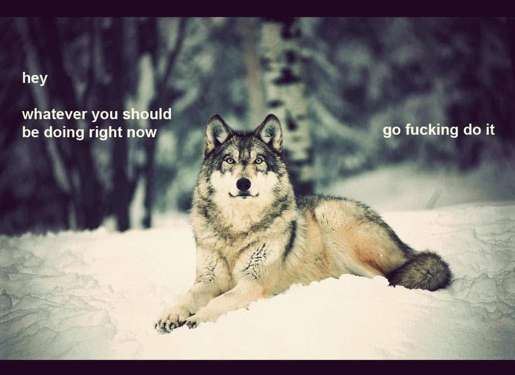 7. A friendly reminder