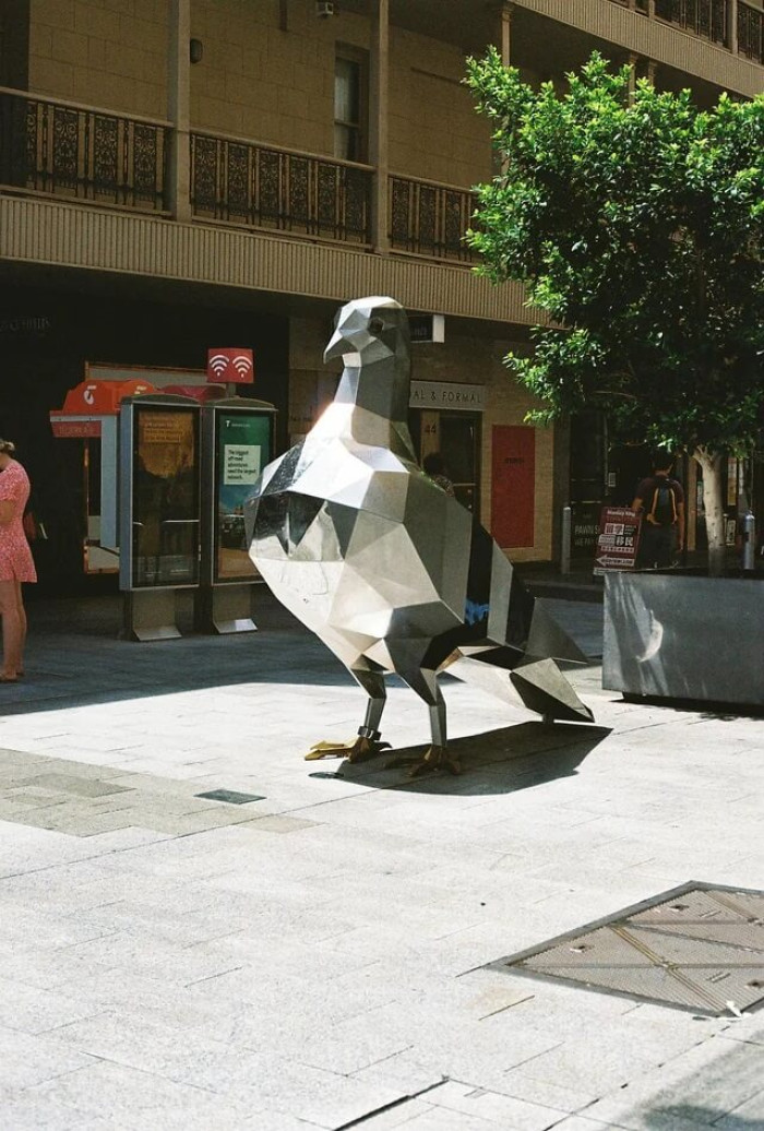 15. Crappy art installations, you say? Adelaide has an AU$174,000 big metal pigeon. It goes with our bronze pigs and the Malls Balls