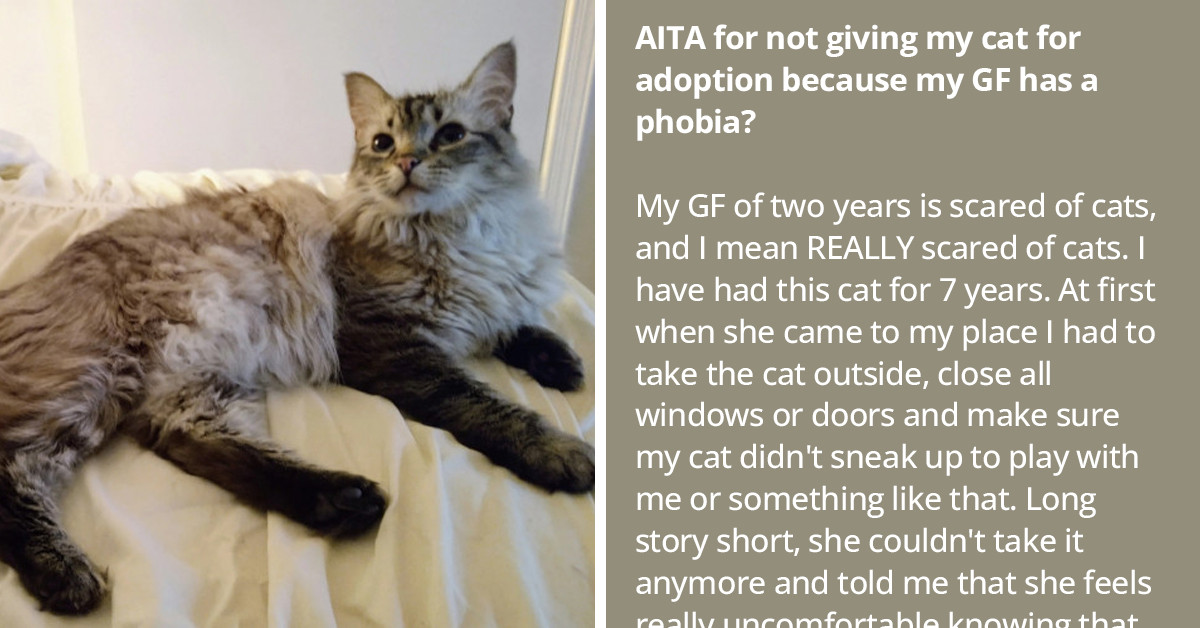 Man Questions His Decision To Rehome His Cat Because Of His Girlfriend's Cat Phobia