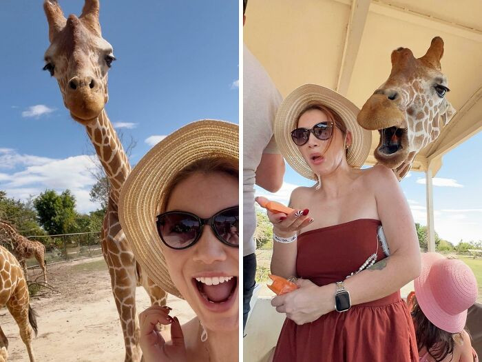 "The Pics/Selfies I Take vs. The Pics My Boyfriend Takes"
