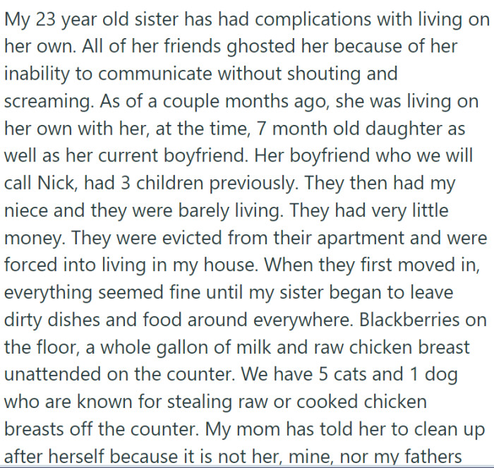 Originally living on her own with her daughter and boyfriend, Nick, the sister and her family had to move in with OP's family after being evicted.