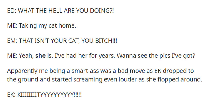 Amidst a heated argument, OP asserted their ownership of Turbo, prompting a tantrum from the entitled kid.