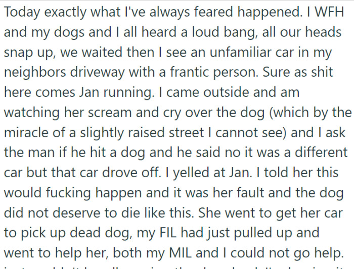 In a tragic turn of events, one of the dogs was hit and killed by a car.