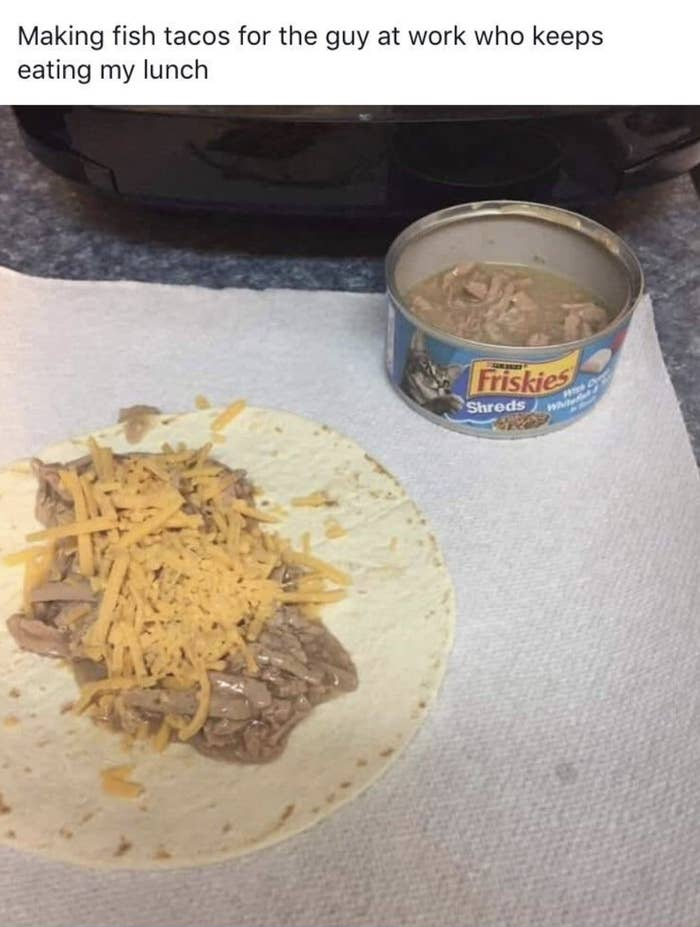 2. It's extra fancy if it has cat food in it.