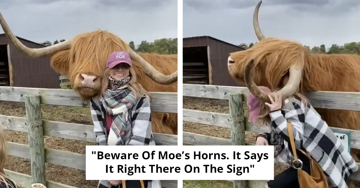 35 Times People Called Out Influencers For Doing Foolish Things For A Photo