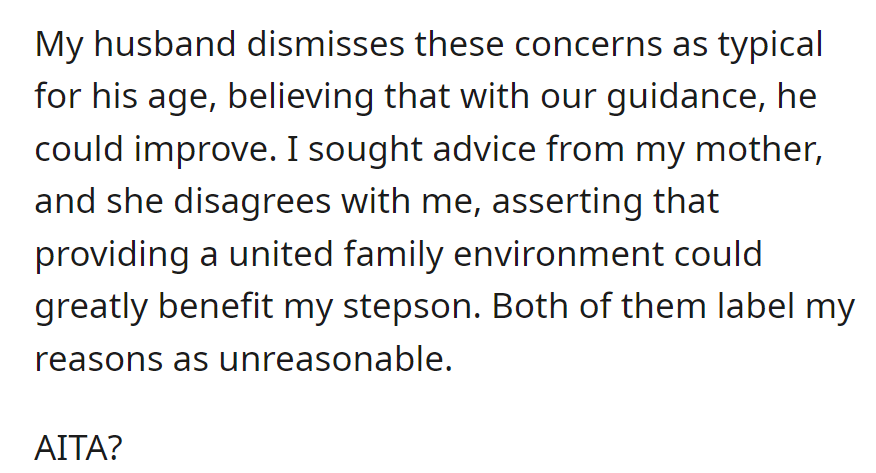 OP expressed concerns to her husband about their stepson's issues. Seeking advice, both mother and husband consider the concerns unreasonable.