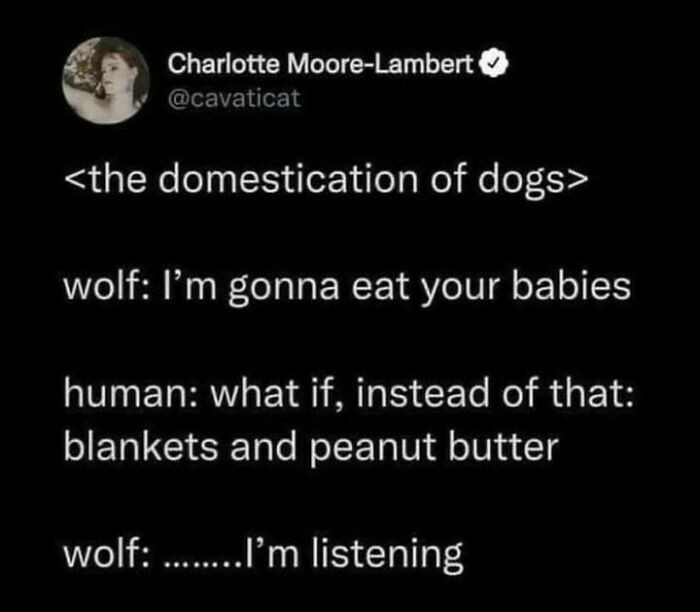 45. An irresistible offer