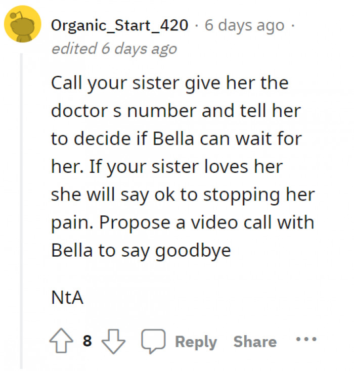 Let the sister decide based on what she will find out from the veterinarian herself. Stopping Bella’s suffering will be her priority if she knows how much pain Bella is in.