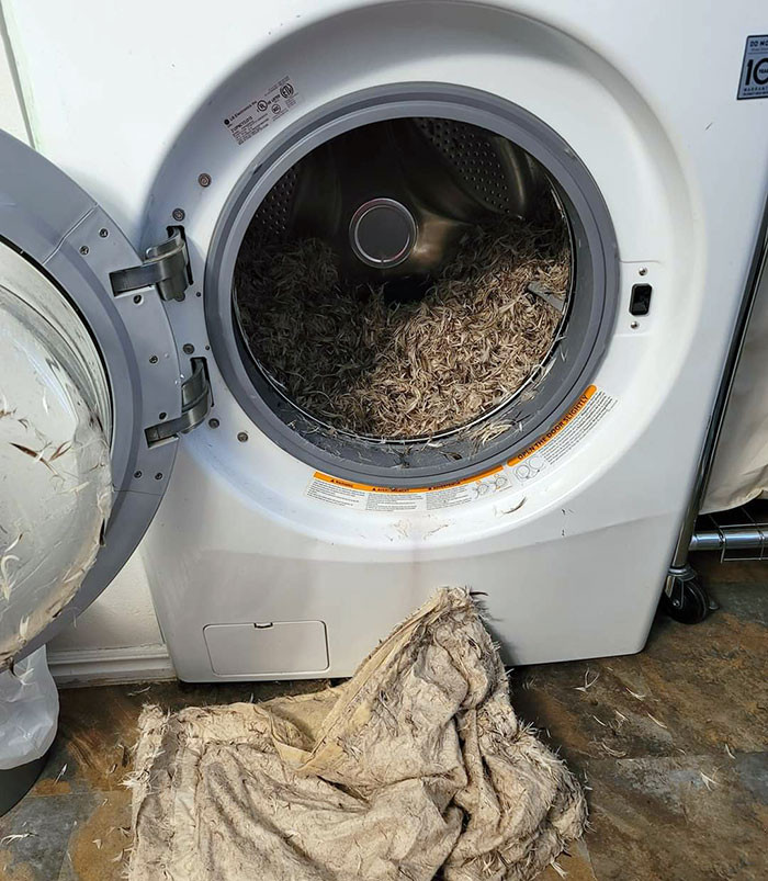 35. My Boyfriend Tried To Wash A Pillow