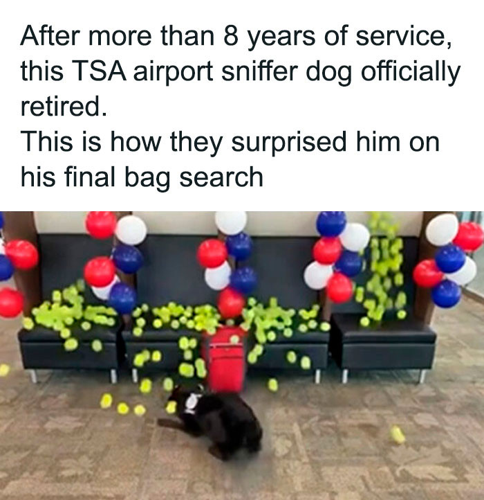 35. That pup is just in pure heaven at that moment