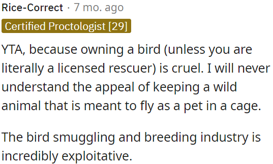 Essentially, keeping a bird as a pet, unless OP is a licensed rescuer, is cruel.