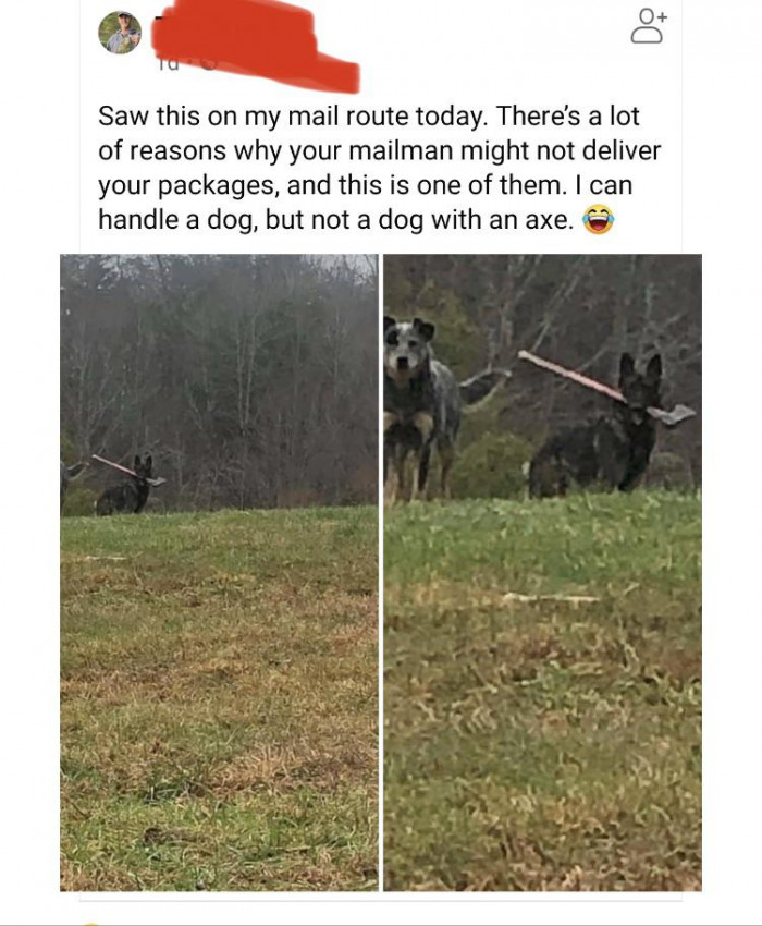 1. They are evolving so fast