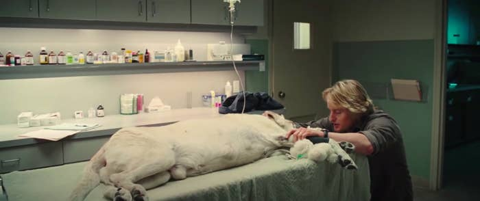 2. When the beloved dog dies in Marley and Me