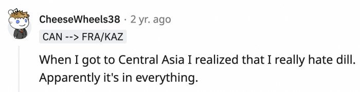 9. One thing you will also realize while trying out food: what you don't like and this person hated dill