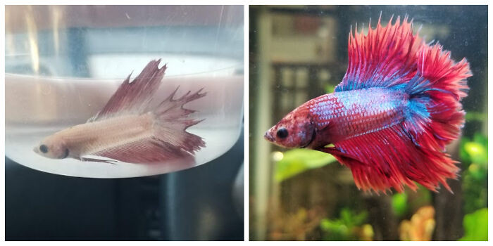 "Happy One Year Adoption Day To Philip! I'm So Proud Of How Far He's Come!"