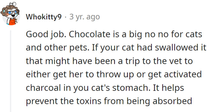 Cat: saved. Crisis: averted. Vet: spared. Chocolate: a definite no-no.