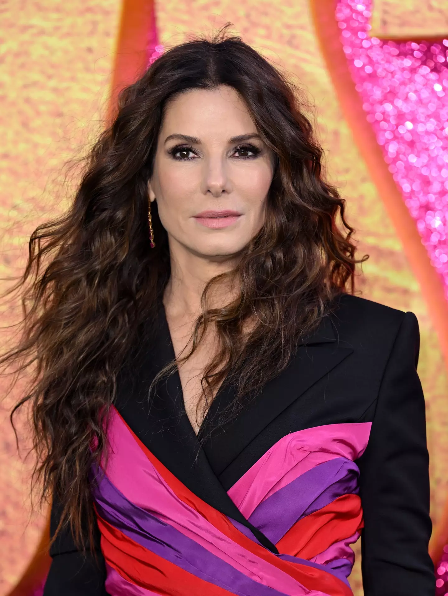 The beautiful Sandra Bullock has starred in numerous films throughout the decades of her career.