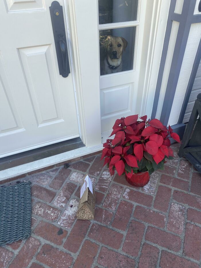 5. Someone greeted this delivery rider.