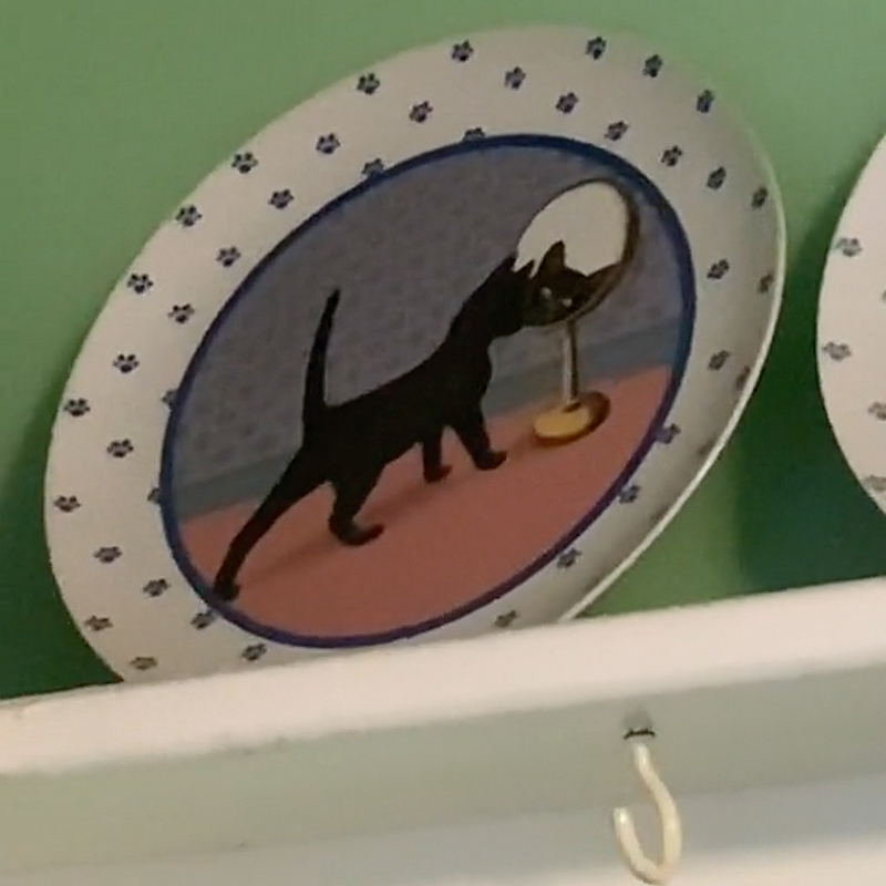 “This was a head-to-toe cat house. This woman loved cats so much that every single inch of her house was covered in them,” Lenore said.