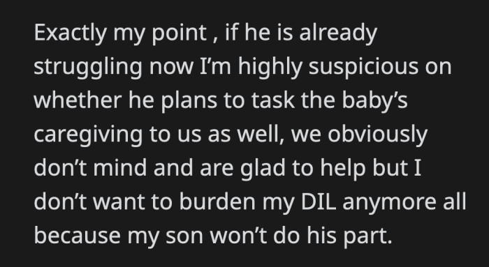 OP now thinks her son's actual plan is to use them as free babysitters.