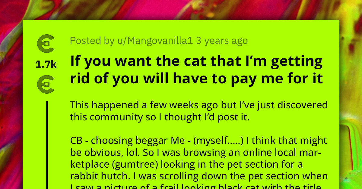 Redditor Generously Agrees to Adopt Giveaway Cat, Gets Slapped with Surprise £50 Fee Hours After Finalizing the Agreement