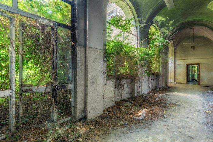 27. Seeing nature overgrow these places is bittersweet.