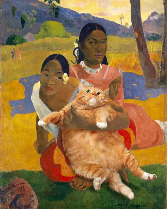 “When Will You Marry, Cat Lover?”
