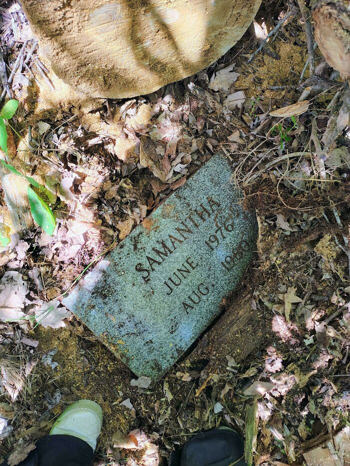 'Found A Tombstone Marker In My Yard'