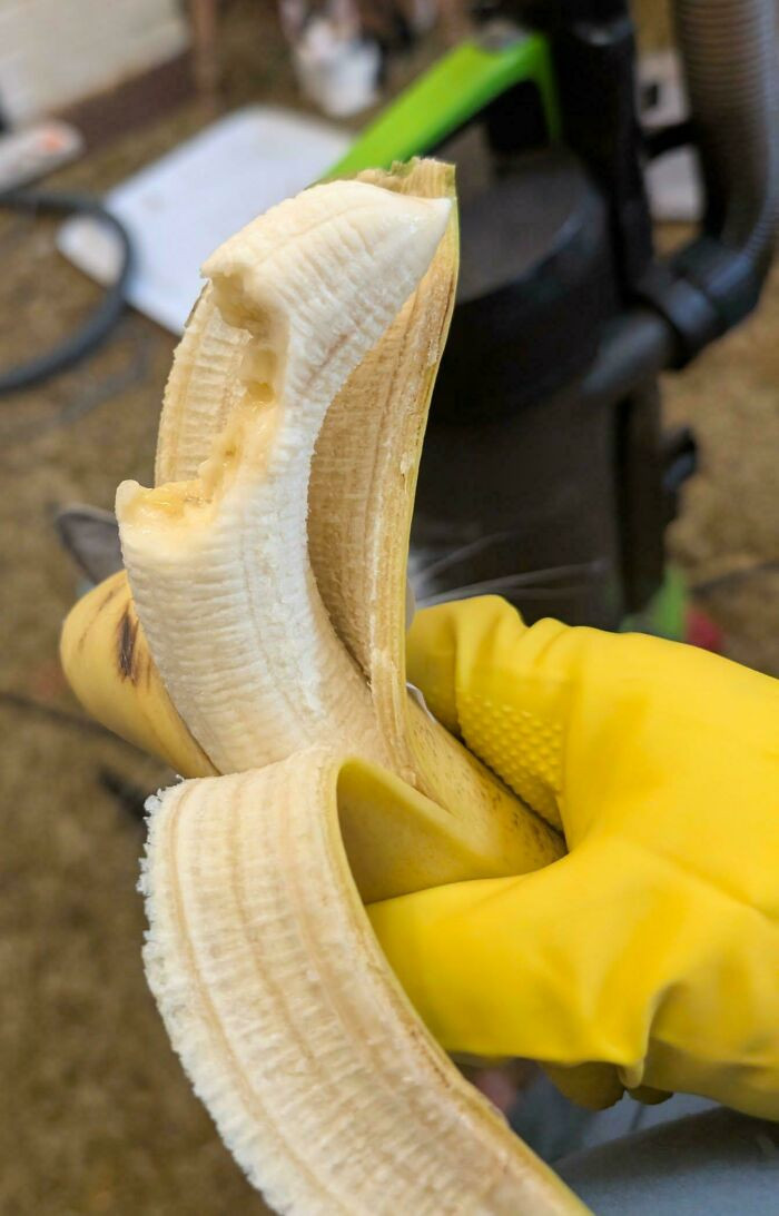 "This Bite My Husband Took And Then Handed To Me Because It Tasted 'Weird'"
