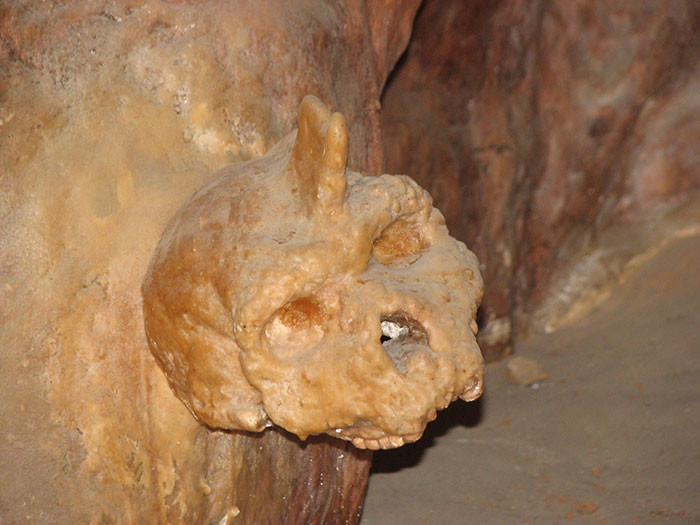 Uranium-series dating offered the breakthrough that revealed the skull’s actual age