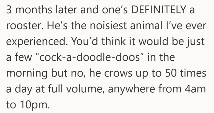 The reality check hits hard when the quiet assumption turns into a full-volume, all-day wake-up call.