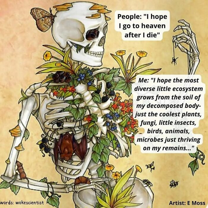 2. I hope to go to heaven after I die