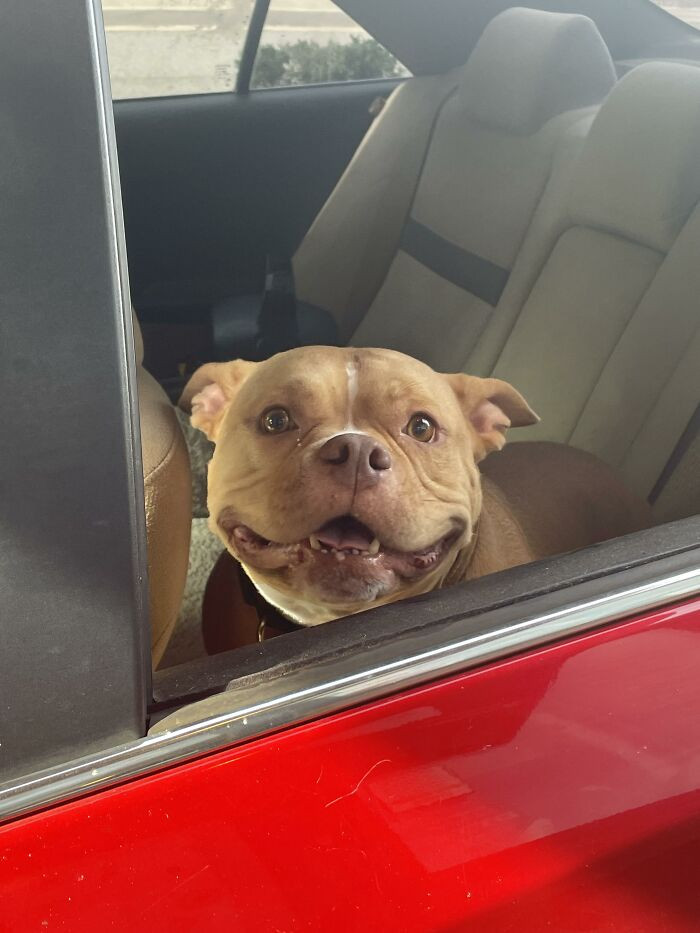 2. The lovely encounter with the person at the drive-thru brightened my day.