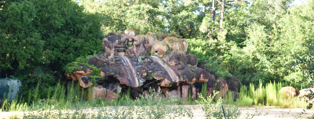 River Country: Disney's Abandoned Water Park That Rotted for 17 Years