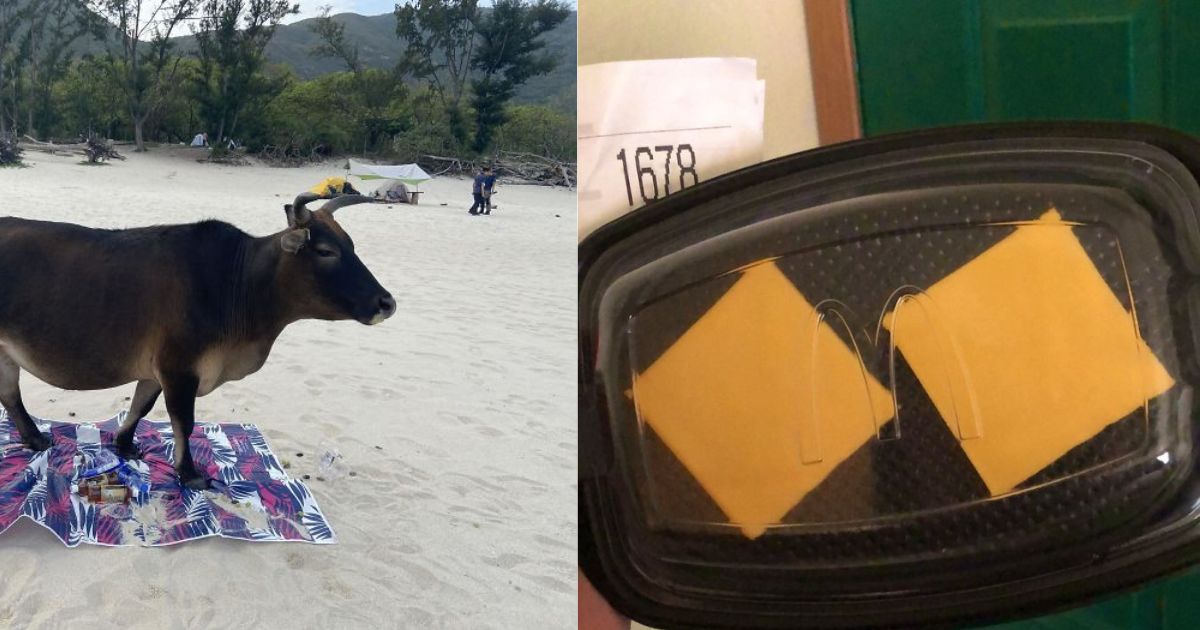 Absolutely Hilarious Examples Of Things Gone South