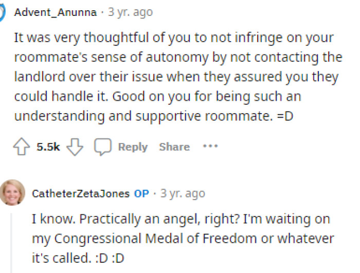 Many people were quite proud of OP for handling it the way she did because it's amusing to see how the roommate's own choices upset her.