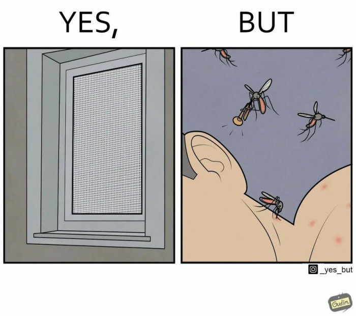 11. Nothing stops a mosquito.