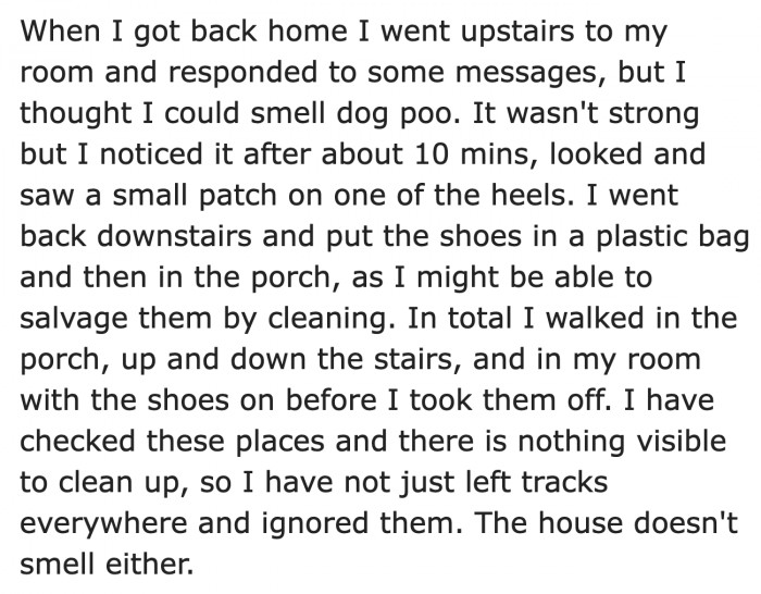 She only confirmed it after she went home and smelled dog poo.