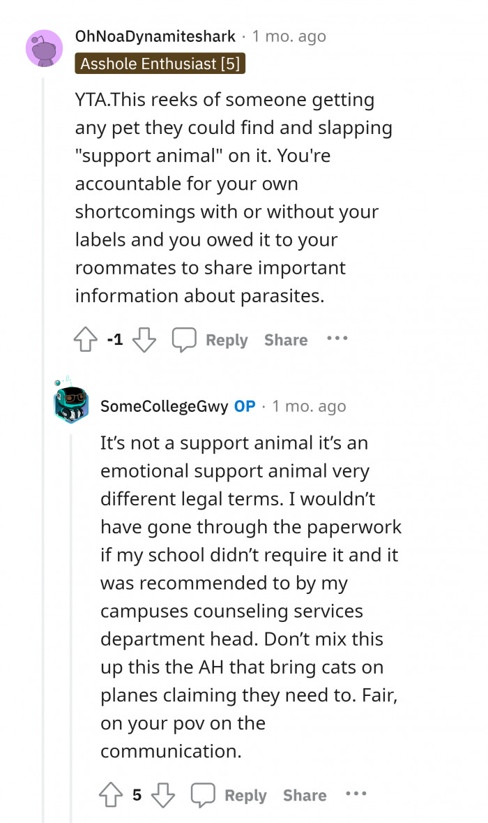 11. Having a cat as one of your emotional supports is better than having a friend who will eventually backstab you.