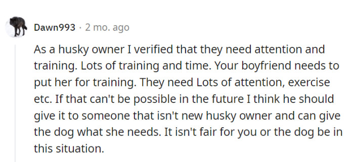 If their schedules aren't up for the husky hustle, a more experienced owner might be the paw-fect solution.