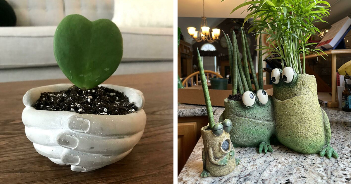 30 Unique and Creative Plant Pots to Elevate Your Indoor Garden