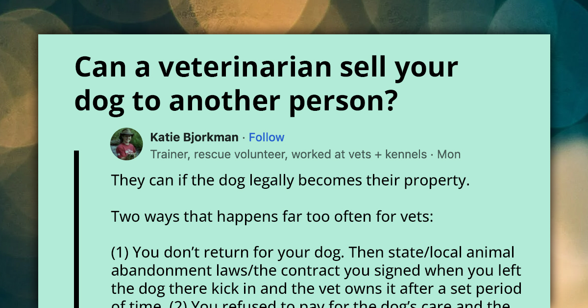 The Inside Scoop On Why Your Vet Might Sell Your Dog Behind Your Back