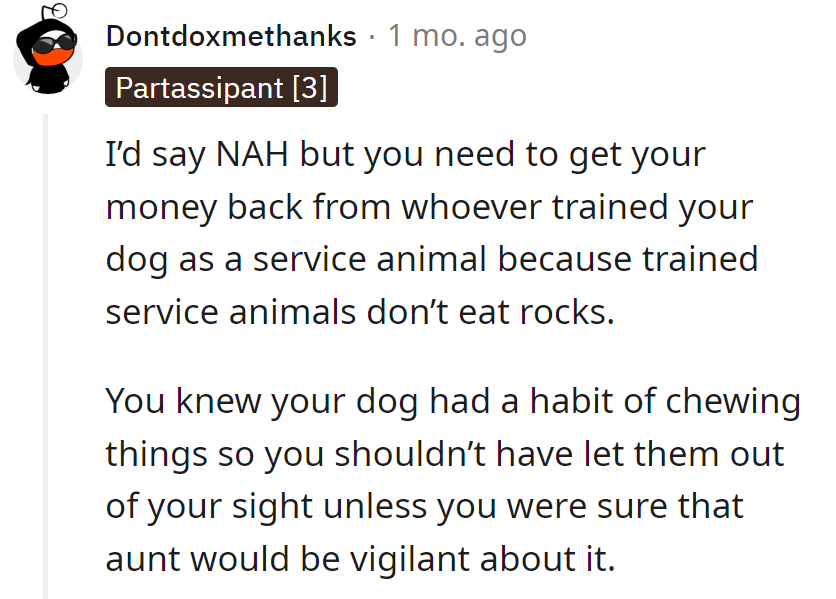 Looks like Dixie's training came with a side of 'rock and roll'!