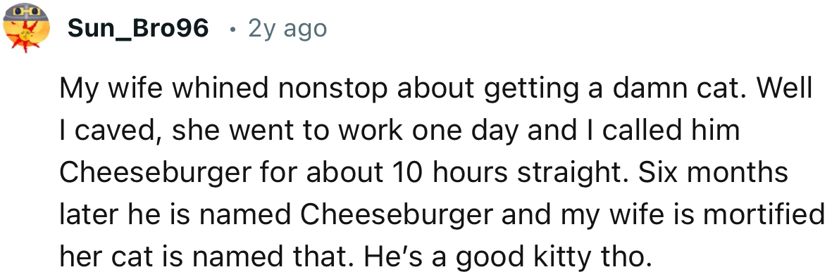 The Pettiest Revenge Ever